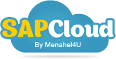 SAP Cloud - פתרונות כוללים לעסקים בתוכנת SAP Business One